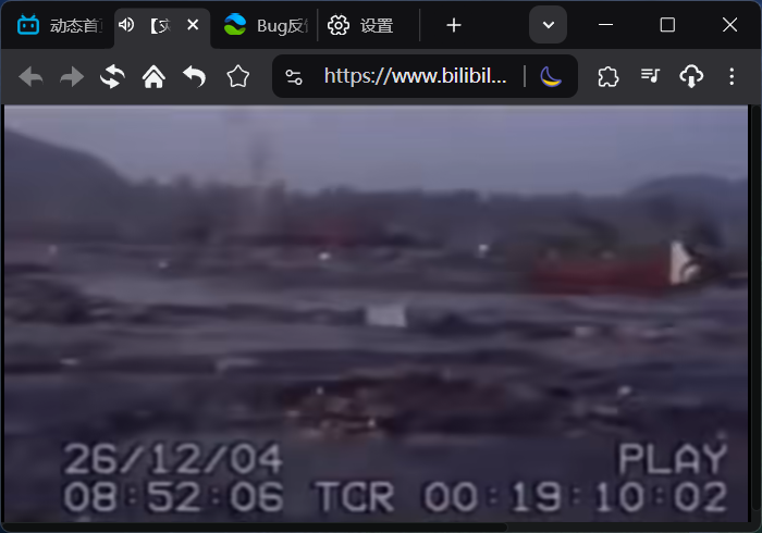 P513.png