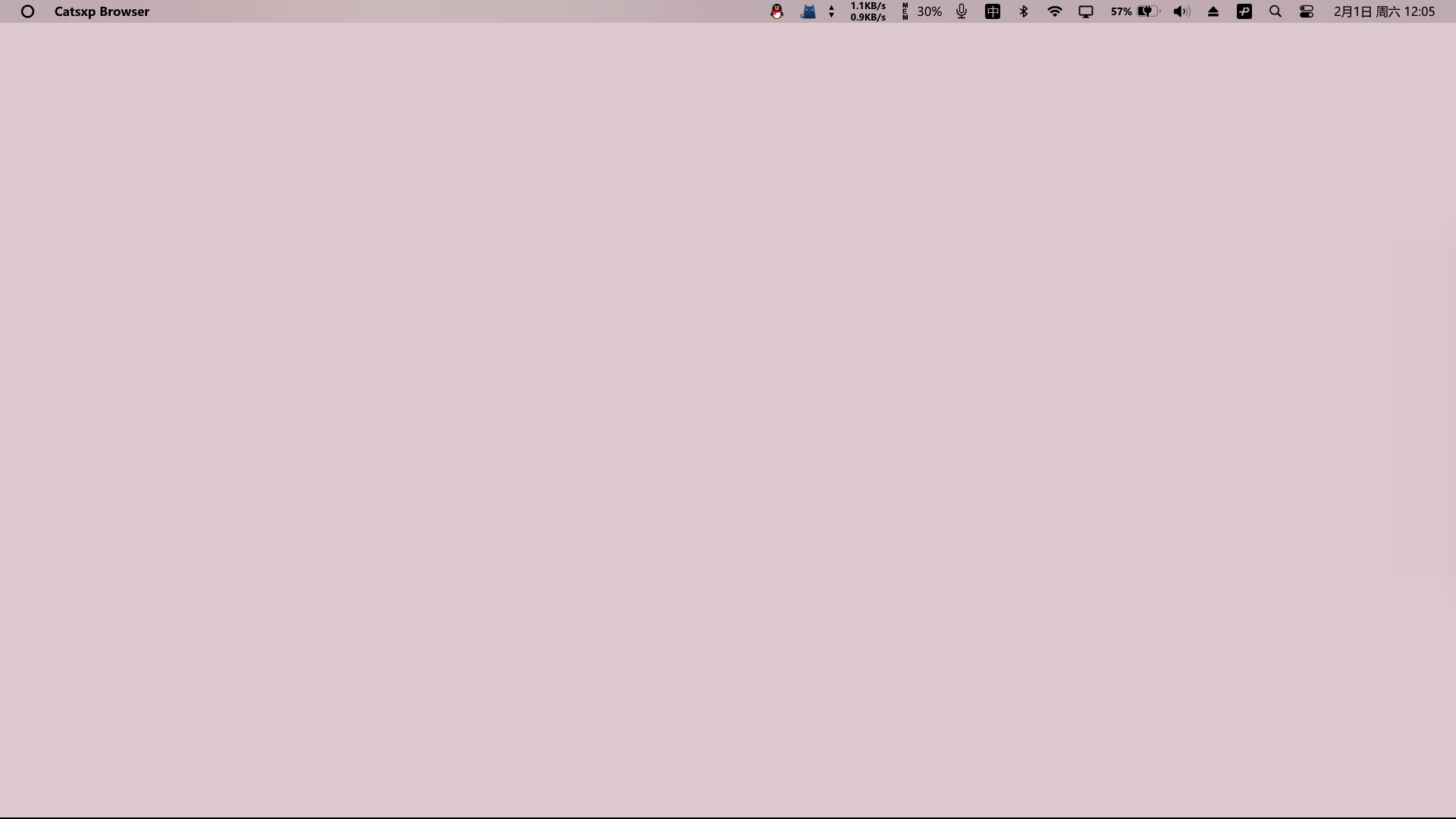 Snipaste_2025-02-01_12-05-30.png